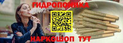 гидропоника Аша