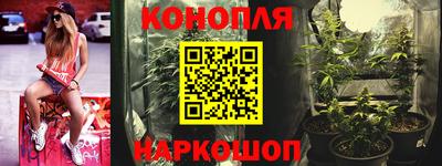 гидропоника Аша