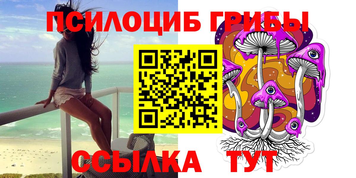 Псилоцибиновые грибы GOLDEN TEACHER  Галлюциногенные грибы GOLDEN TEACHER  Вход с VPN  Канаш 