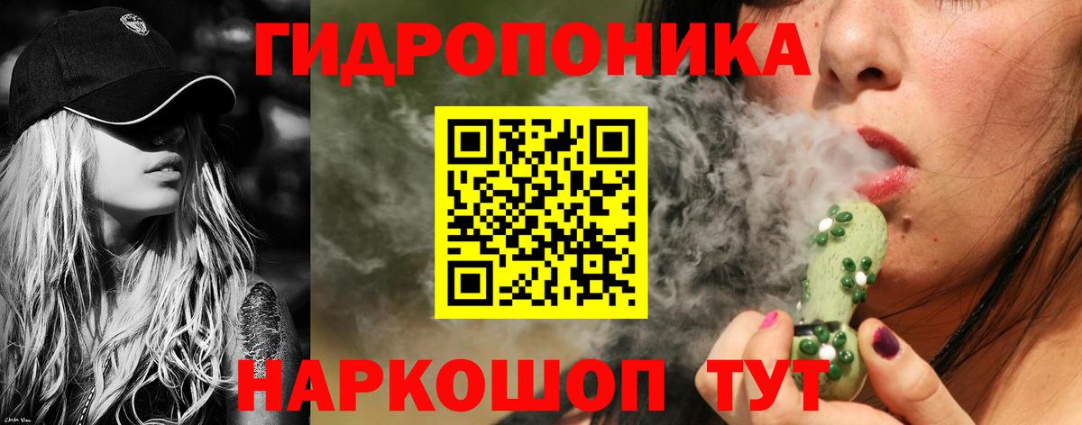 Канаш  Канабис индика  Вход с VPN  МАРИХУАНА семена 